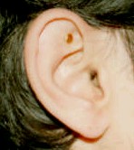 unisex smokeless earrings